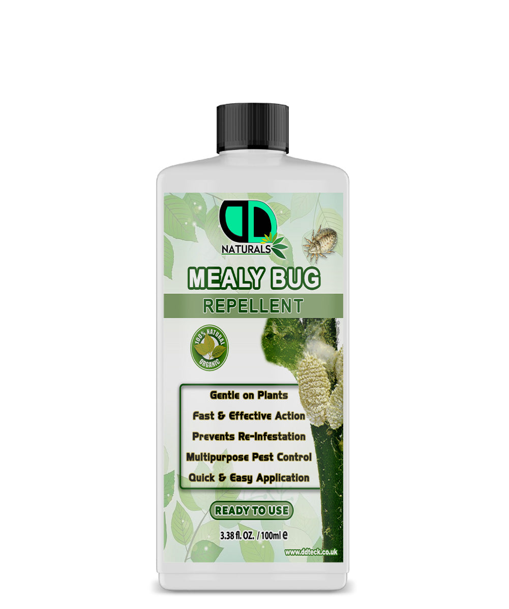 Mealy Bug Repellent Spray | Advanced, Eco-Friendly Protection for Healthy Plants