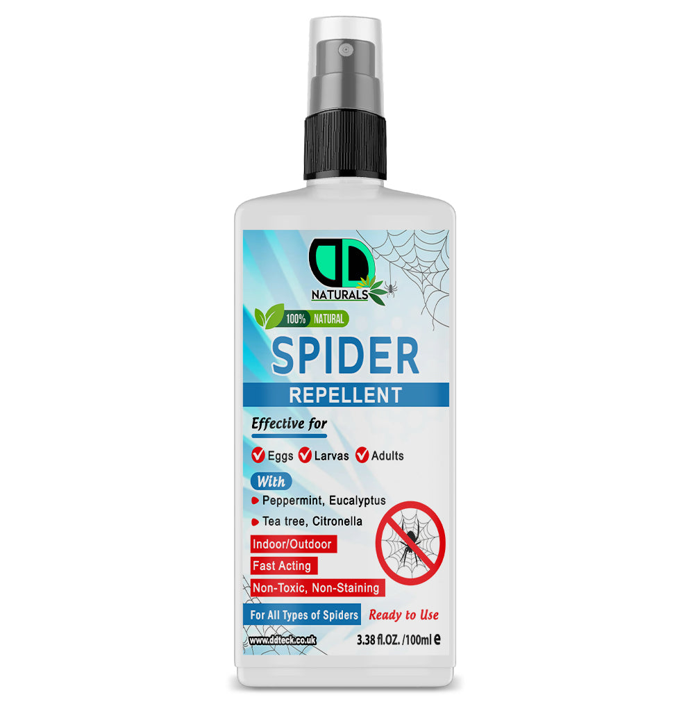 100% Natural Spider Repellent – Fast-Acting Indoor & Outdoor Protection