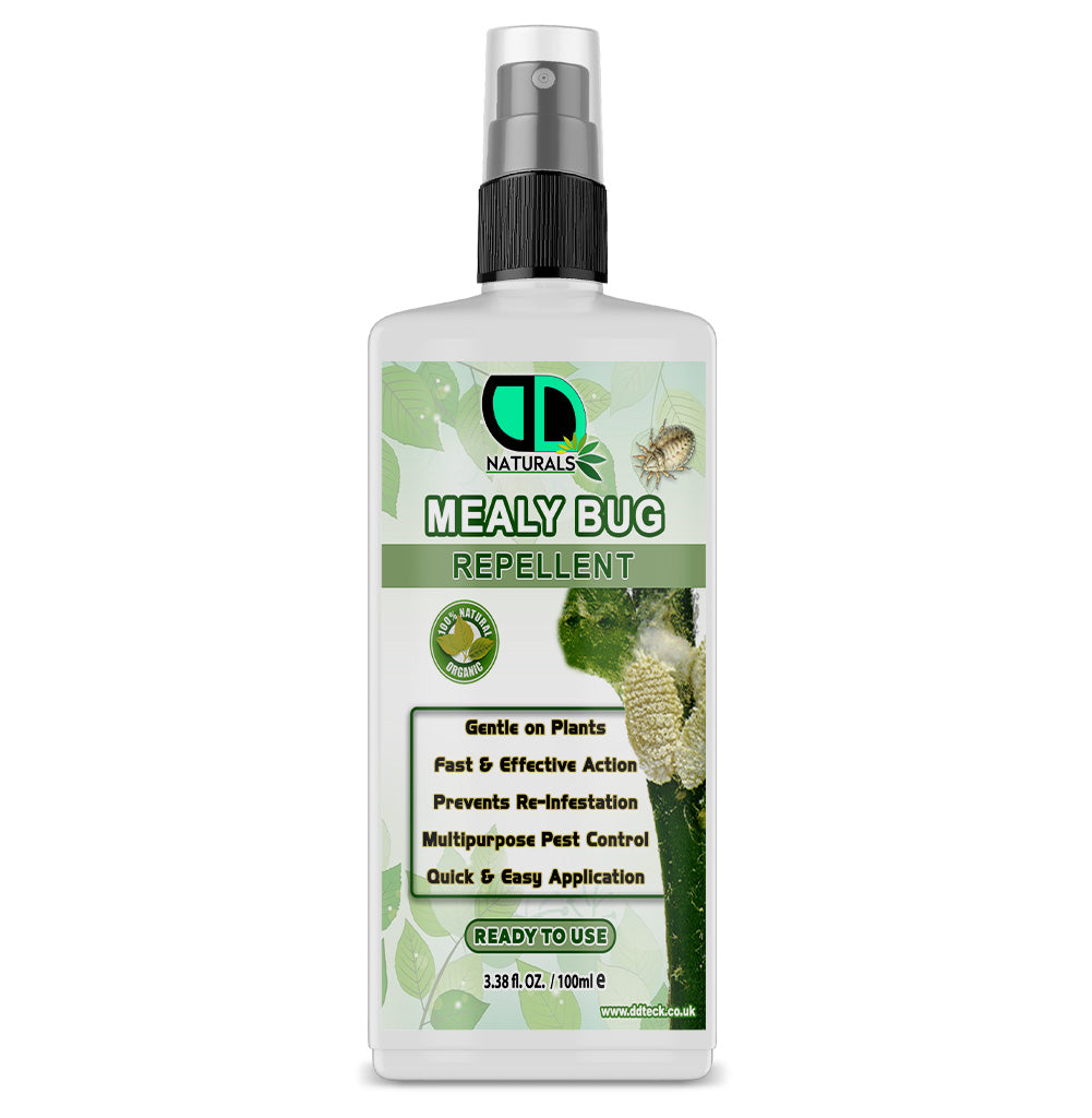 Mealy Bug Repellent Spray | Advanced, Eco-Friendly Protection for Healthy Plants