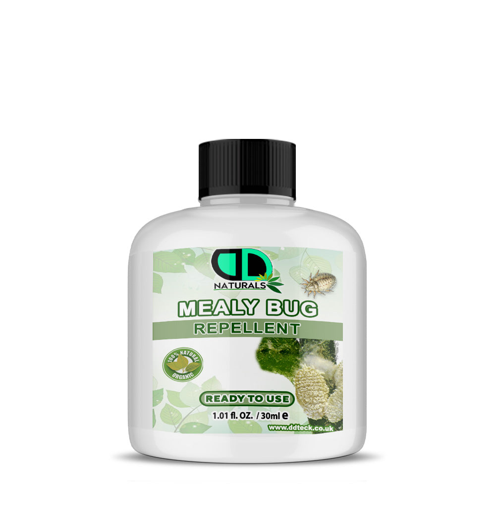 Mealy Bug Repellent Spray | Advanced, Eco-Friendly Protection for Healthy Plants