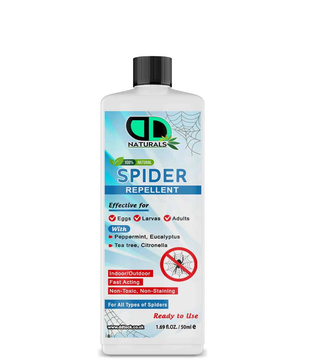 100% Natural Spider Repellent – Fast-Acting Indoor & Outdoor Protection